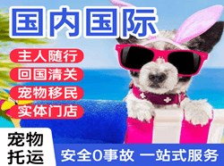 杭州航空邮寄国际宠物托运 【国